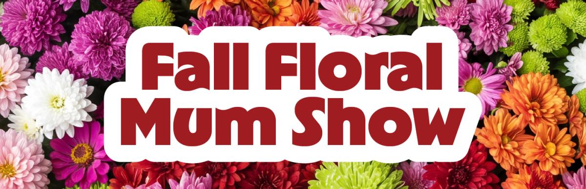 City of Hamilton promotional banner with chrysanthemums and Fall Floral Mum Show lettering; not a photograph of this year's completed display